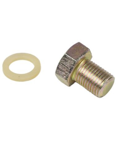 Пробка картера М12*1,0 с прокладкой ДЭГ2100(А), 3300(А), 5000А, 5000АШЗ, ДСЭГ2000А  4